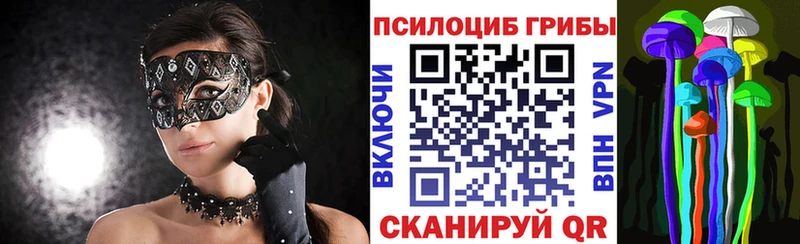 купить закладку  Грайворон  Галлюциногенные грибы Magic Shrooms 